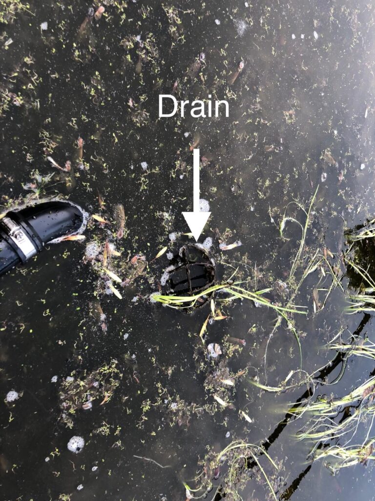Le drain, envahi par l'herbe et les débris, ne laisse plus passer l'eau.