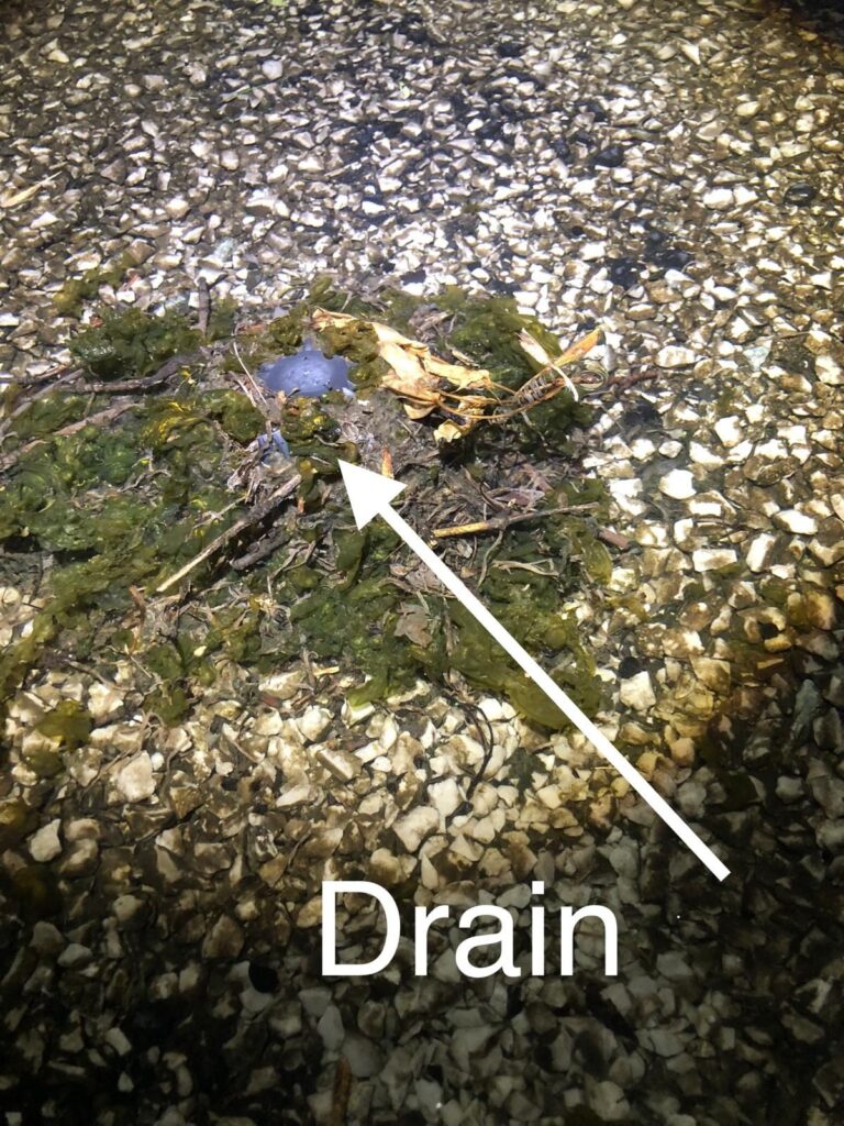 Sur un toit en gravier, le drain disparaît sous la mousse et les feuilles.