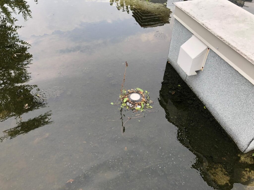 Un amas de débris flotte au-dessus du drain et le bloque.
