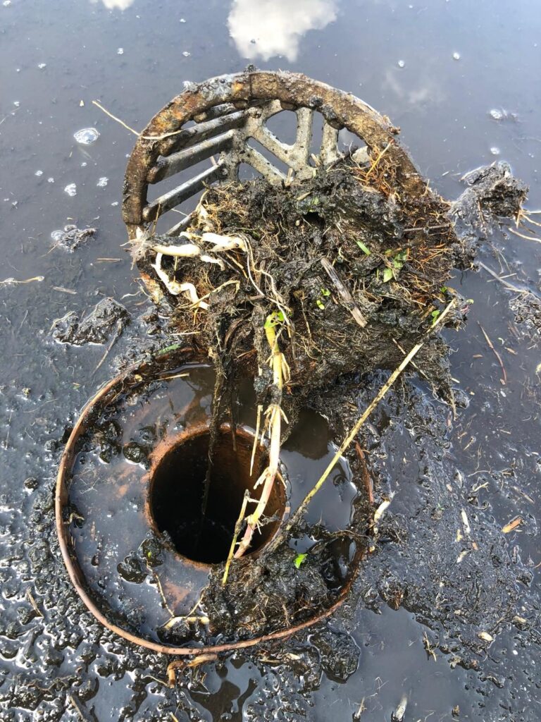 La crépine retirée, pleine de racines et de débris : on voit enfin l'ouverture du drain.