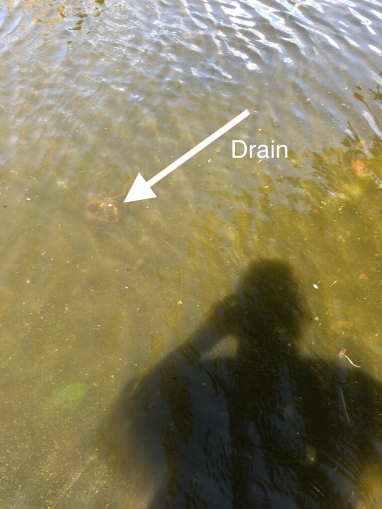 Le drain, au fond de l'eau : impossible de l'atteindre sans d'abord pomper.