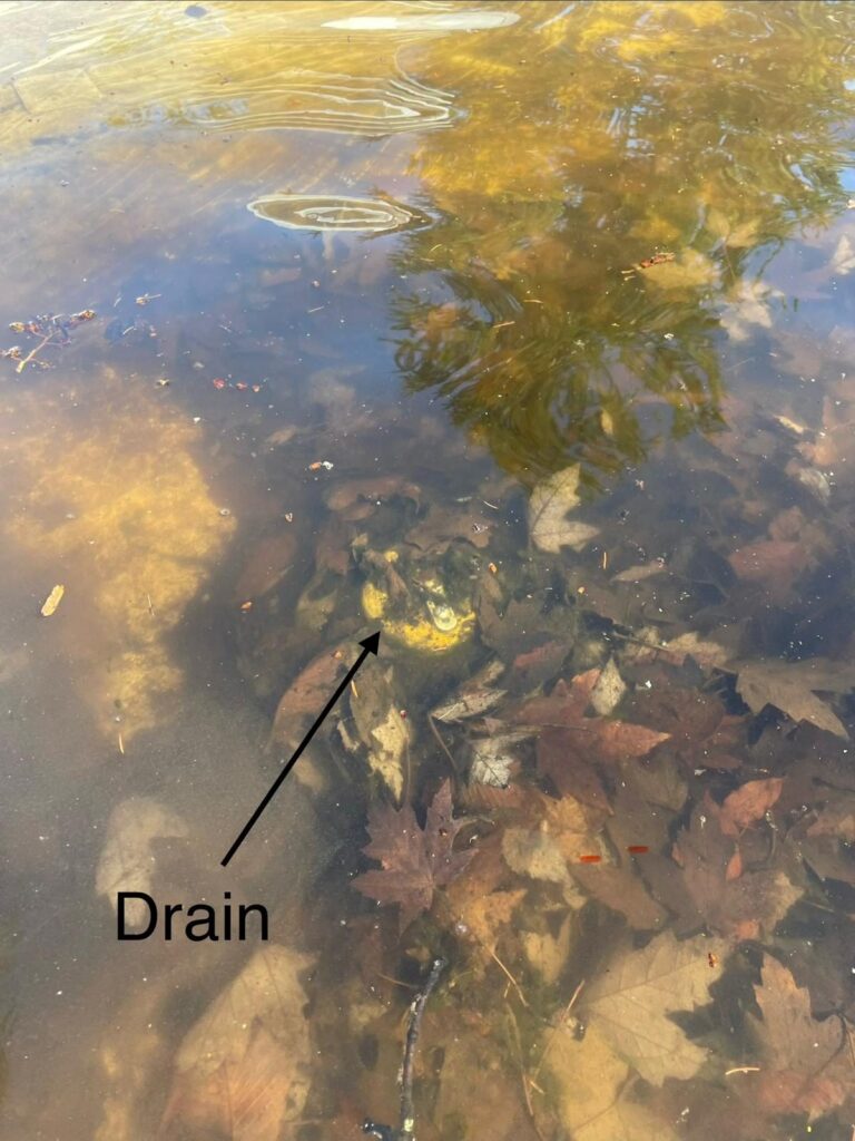 Le drain, sous l'eau et sous une couche de feuilles.