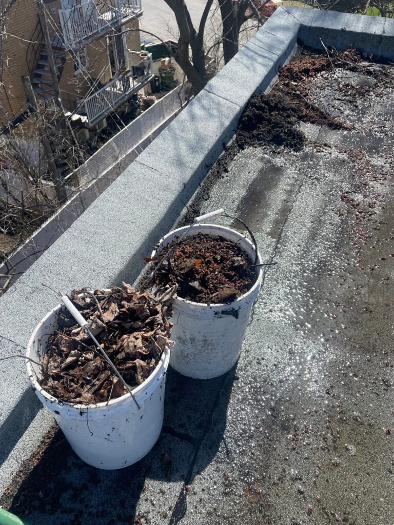 Deux chaudières de feuilles et de débris ramassés sur le toit.