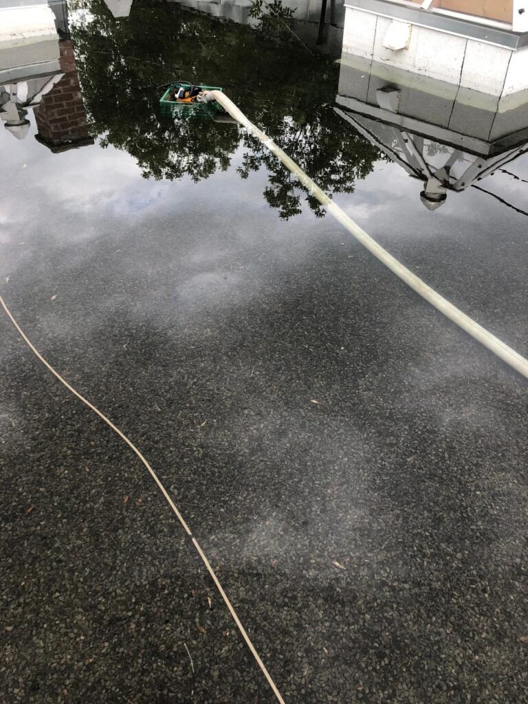 Le boyau de pompage installé dans l'eau stagnante.