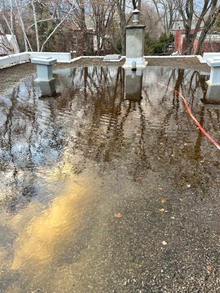 Le boyau de pompage dans l'eau brunie par les feuilles.