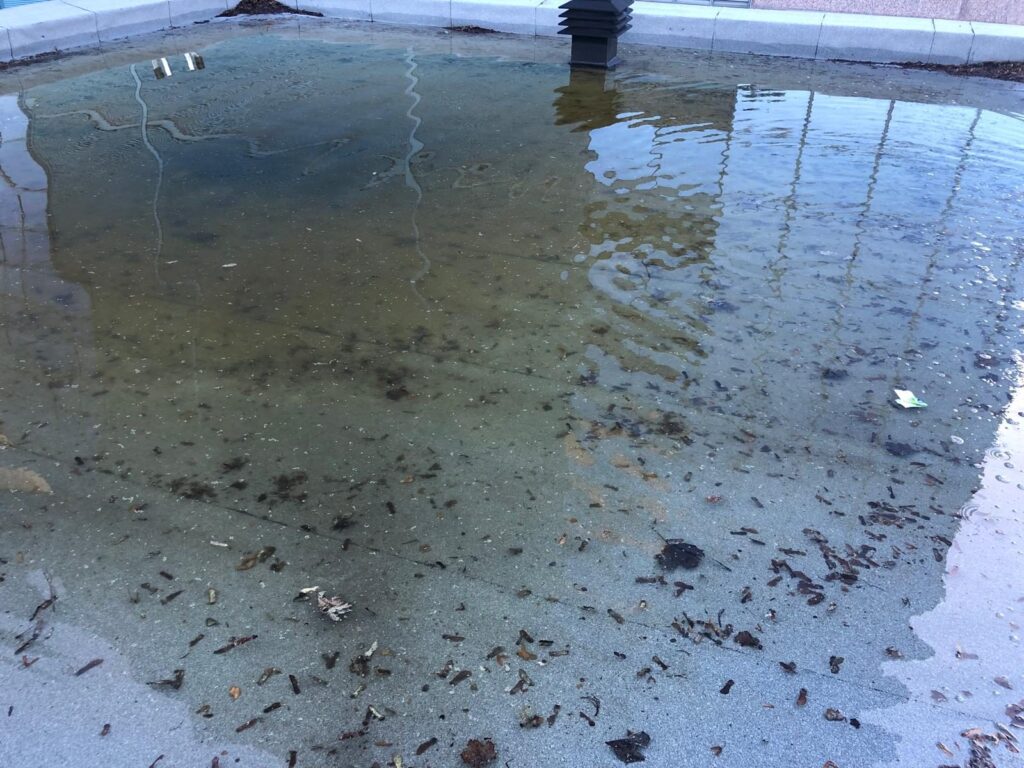 Toit inondé en ville, avec des feuilles et des débris qui flottent vers le drain.