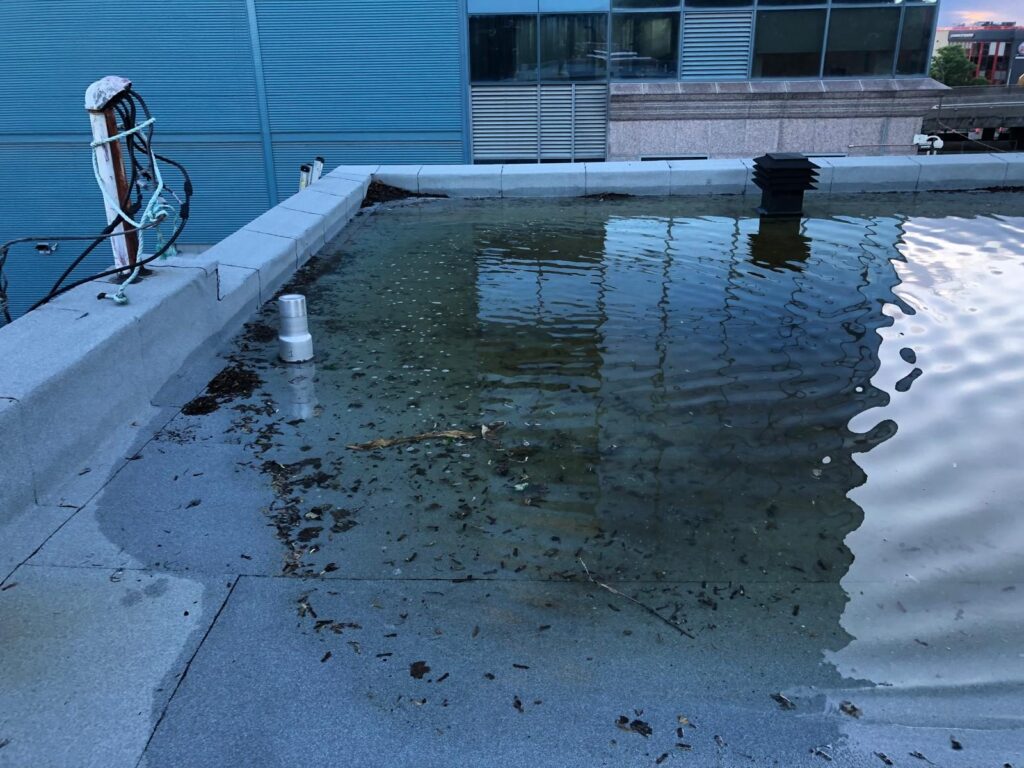 L'eau s'accumule le long du parapet et autour des évents.