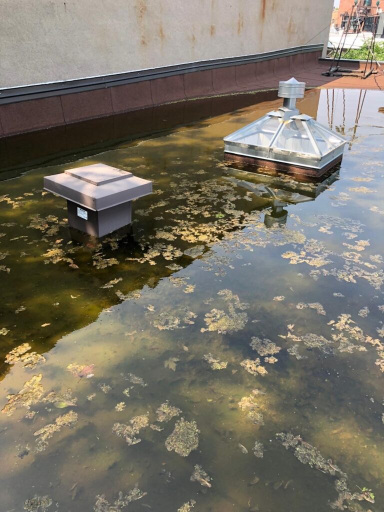 Lanterneau et évent entourés d'eau et de débris flottants.