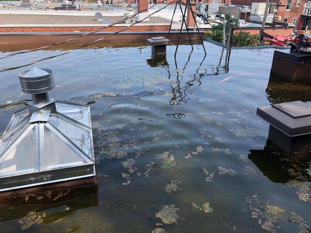 Accumulation d'eau généralisée : lanterneaux et évents trempent tous dans l'eau.