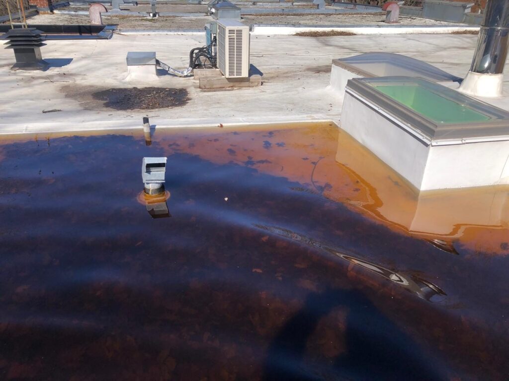 Eau brunie par les feuilles en décomposition, accumulée contre le lanterneau.