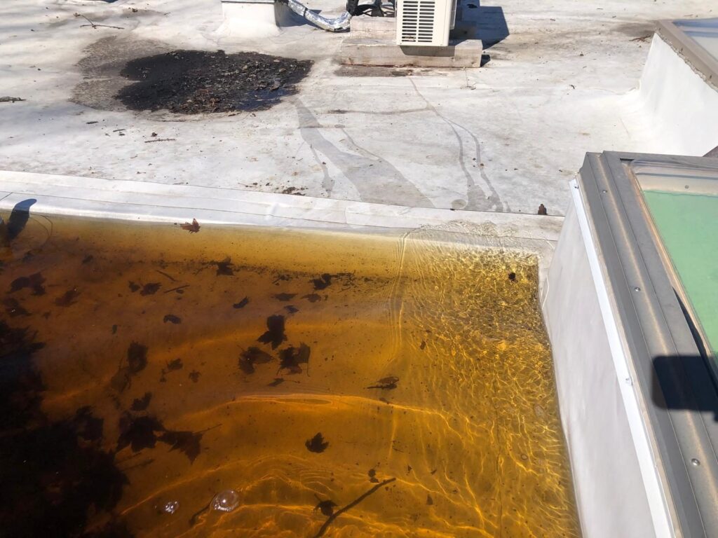 Même toit : l'eau recouvre la base du lanterneau.