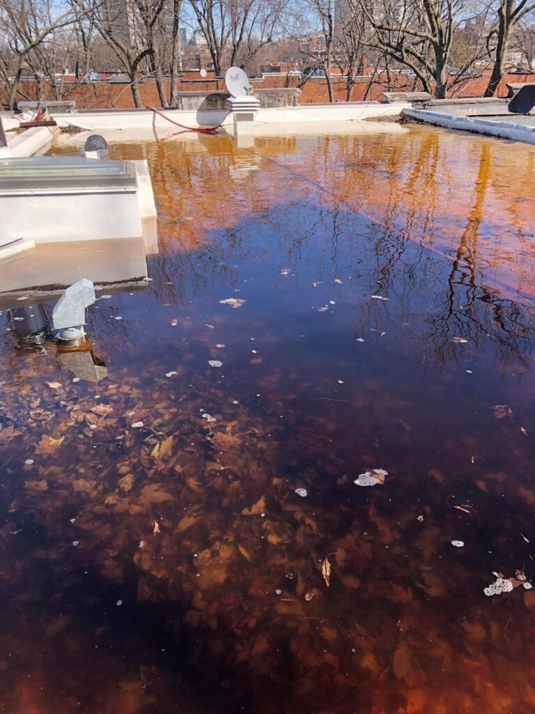 Les feuilles se sont accumulées sous l'eau et empêchent le drainage.