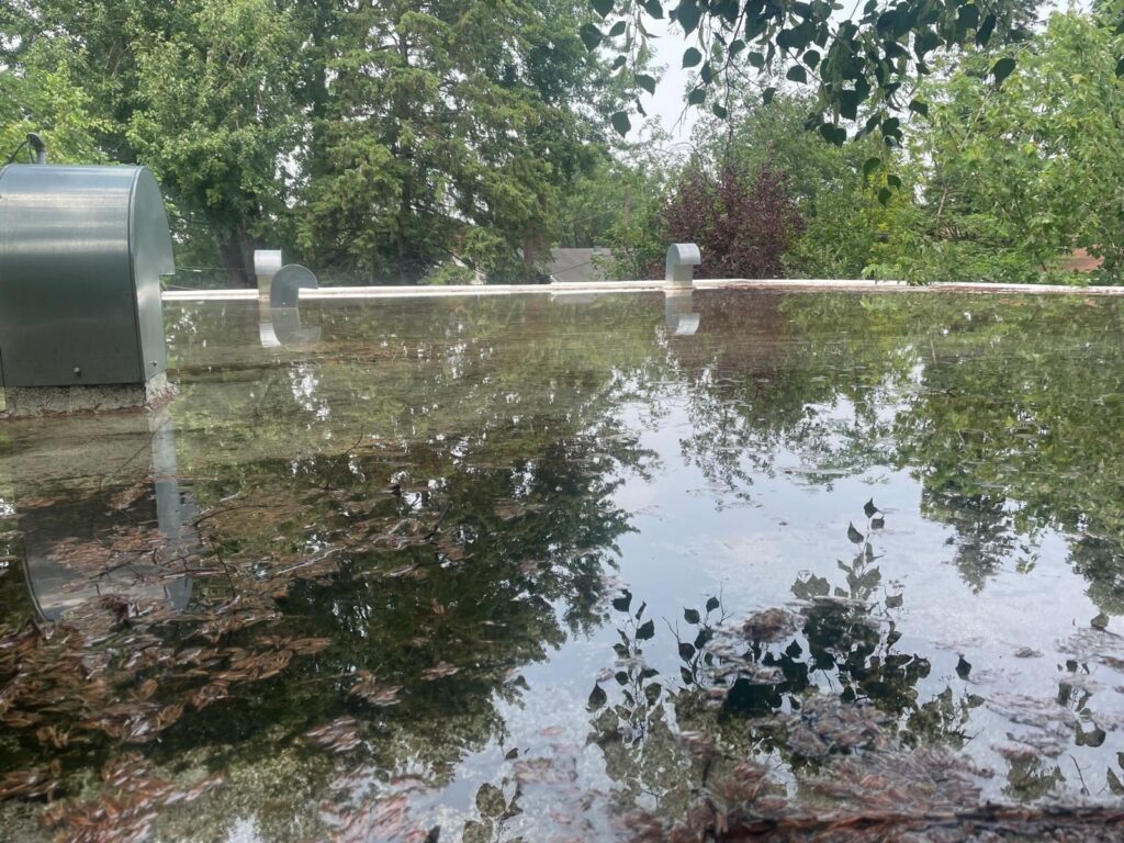 Toit inondé, entouré d'arbres.