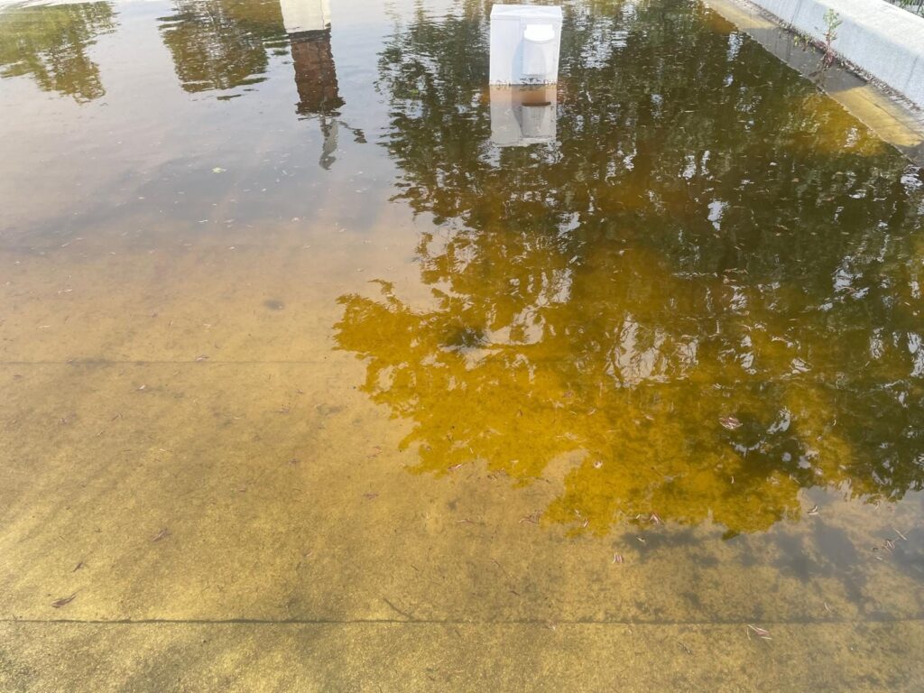 Eau stagnante sur toute la surface du toit.