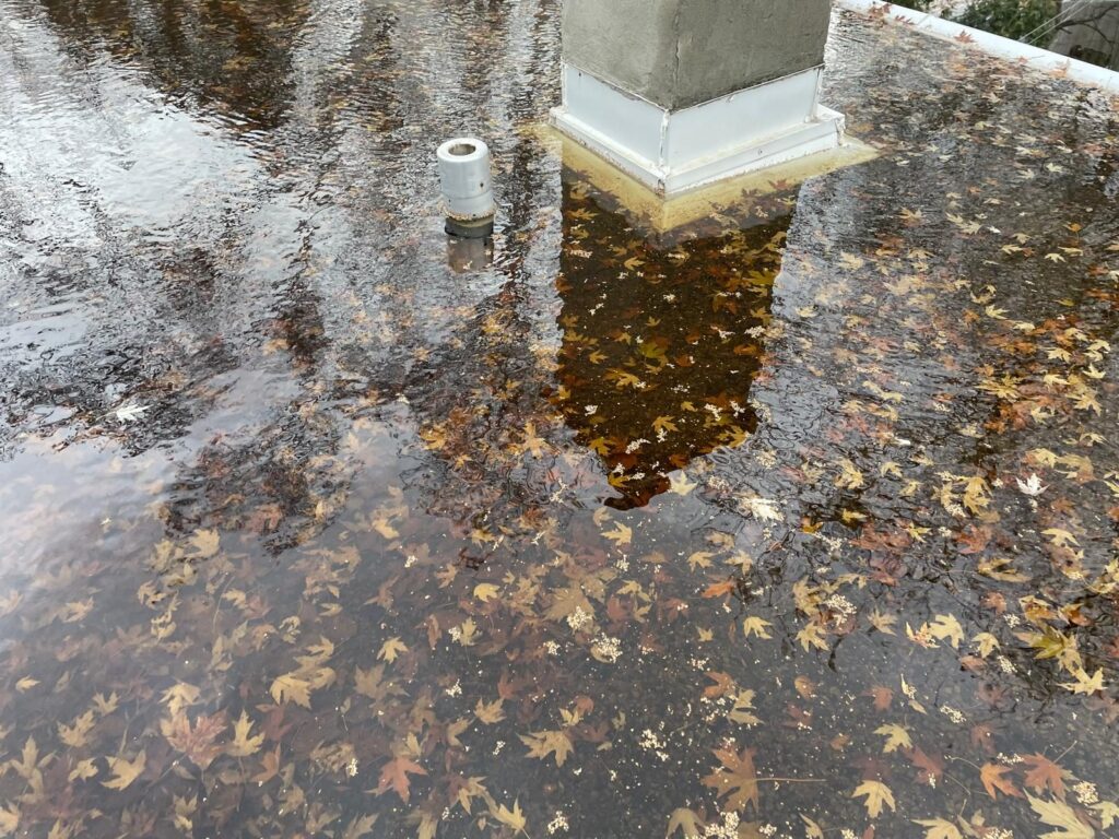 Des feuilles sur le toit, partout sous l'eau.
