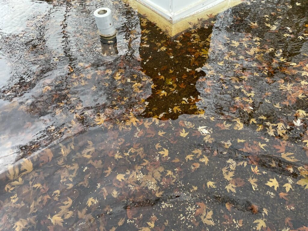 Les feuilles s'accumulent contre les évents et vers le drain.