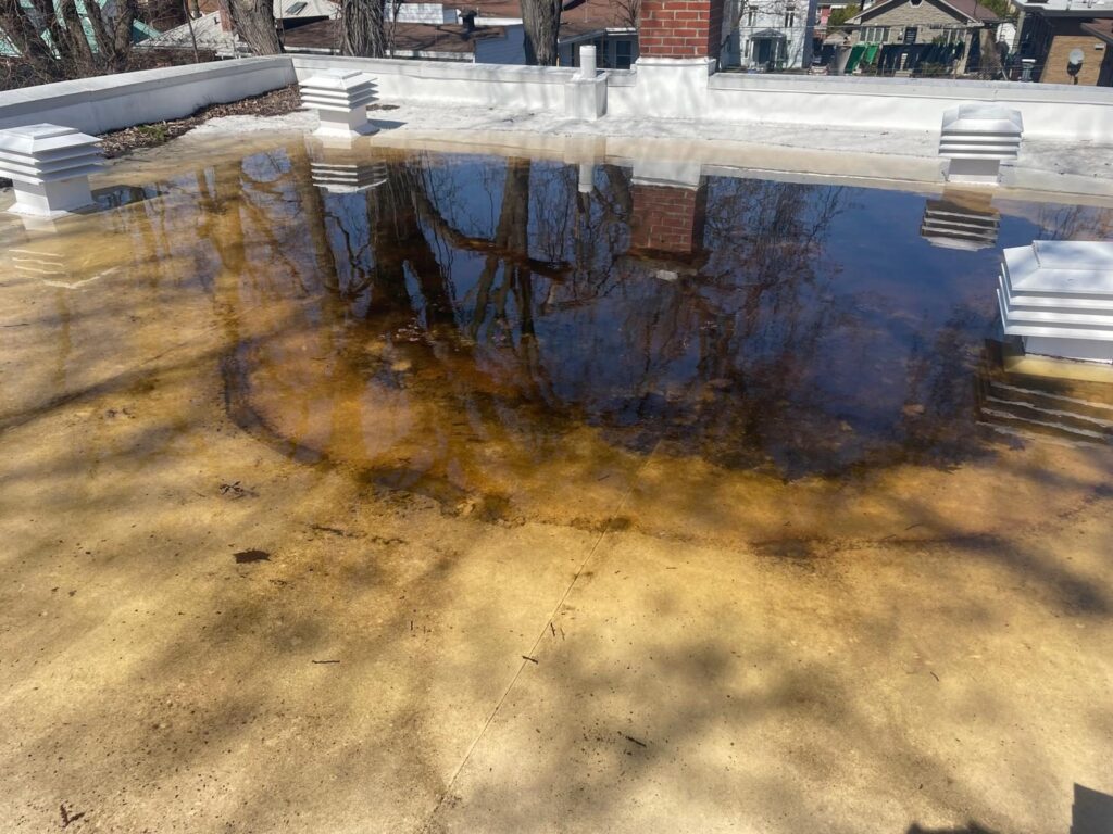 L'eau baisse et laisse voir les dépôts sur la membrane.