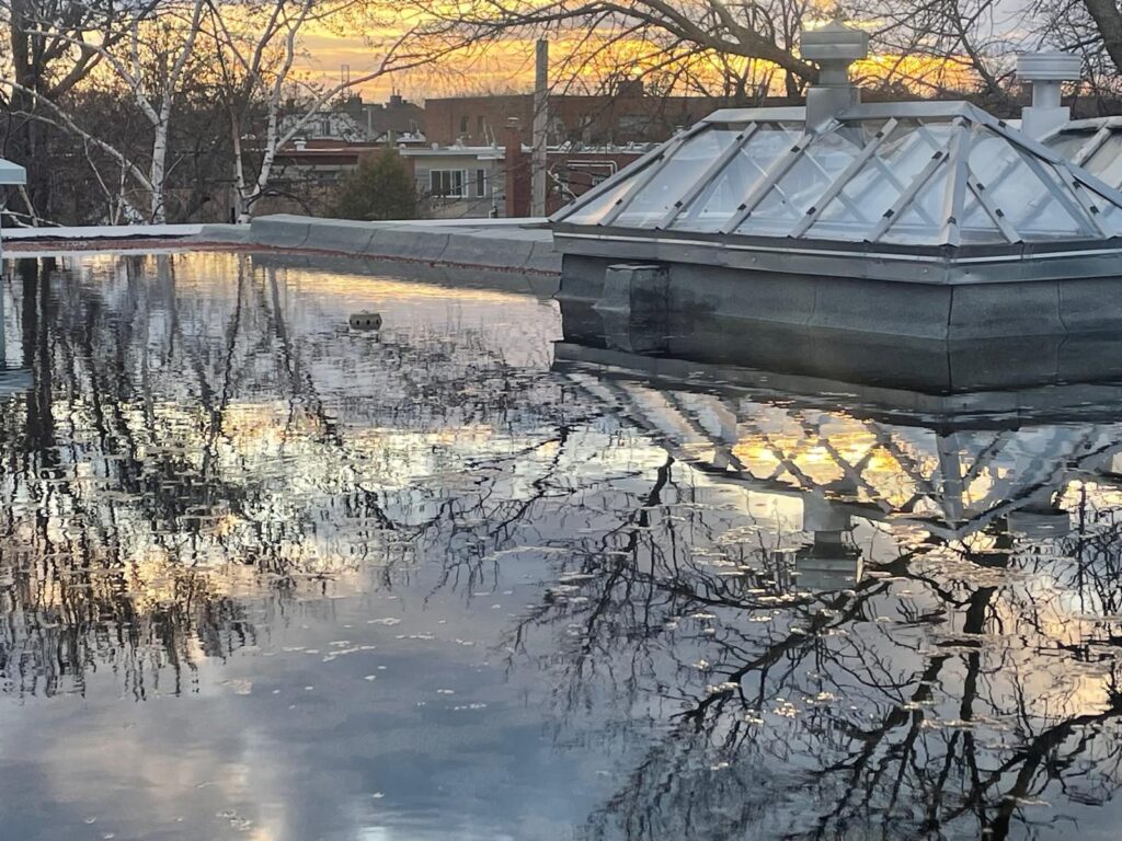 Le lanterneau entouré d'eau.