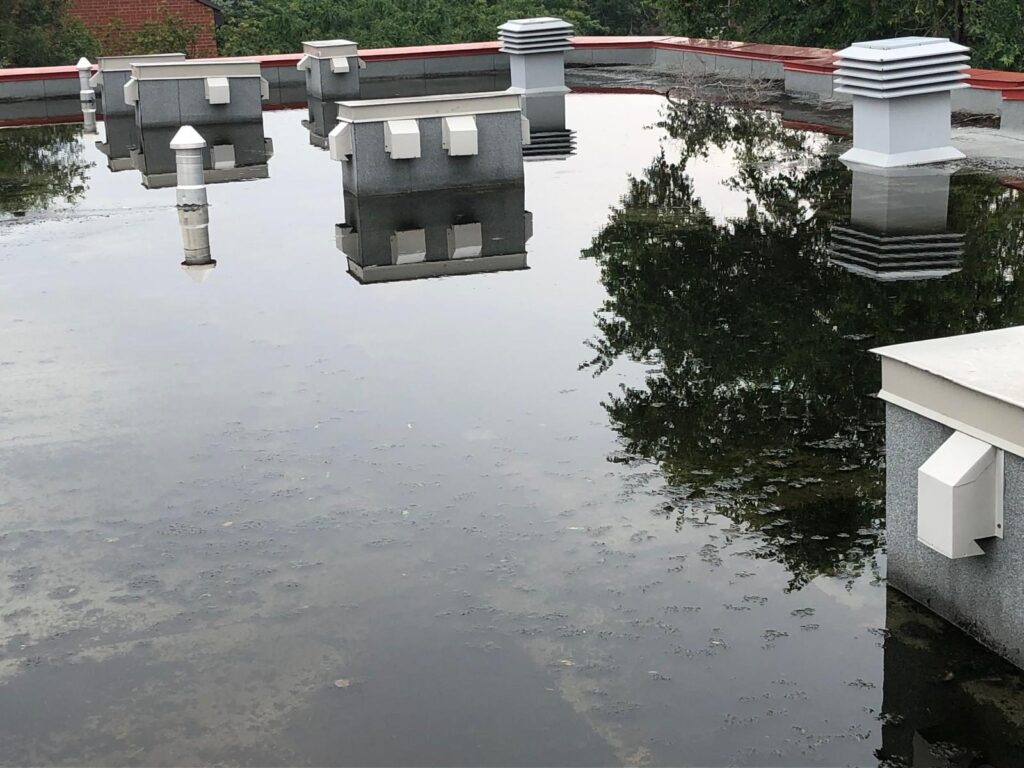 Toit du centre-ville complètement inondé ; au loin, des herbes poussent déjà dans l'eau.