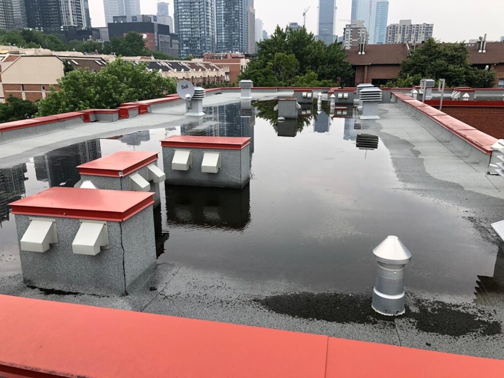 Même toit : l'eau s'étend d'un parapet à l'autre.