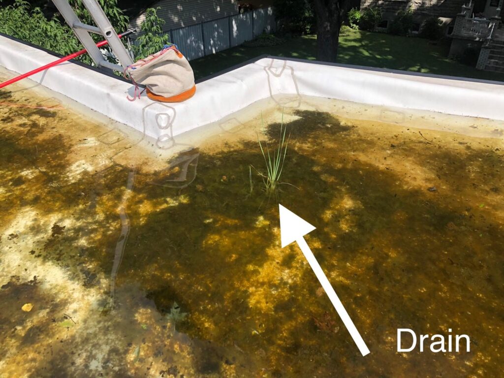 Le drain, caché sous l'eau et la végétation.